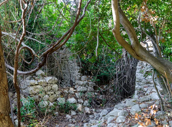 Ruins Buildings Ancient City Olympos Olympus Cirali Beach Antalya Region — Stock Photo, Image