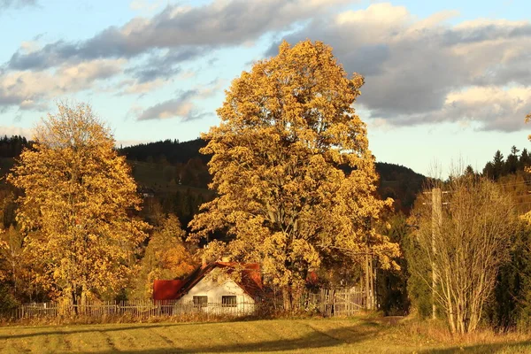 Paisagem Romântica Outono Com Árvores Cor Dourada Uma Casa Campo — Fotografia de Stock