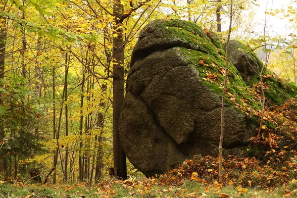 Duża Skała Jesiennym Lesie — Zdjęcie stockowe