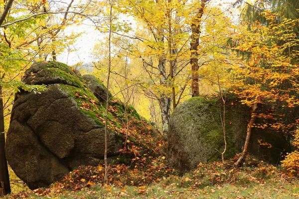 Duża Skała Jesiennym Lesie — Zdjęcie stockowe