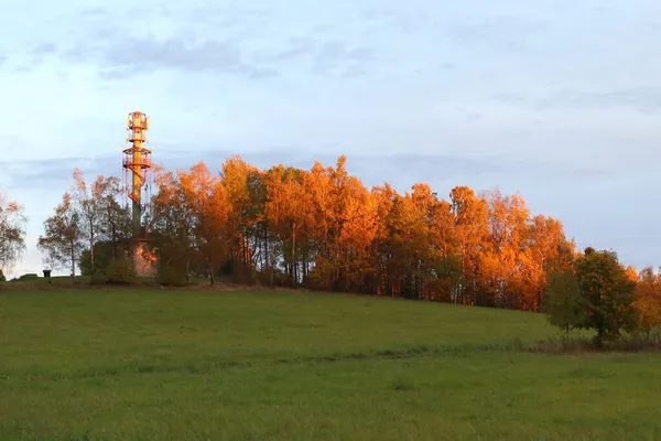 Portakal ağaçları ve Nisanka gözetleme kulesiyle sonbahar manzarası