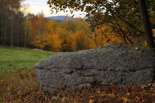 Jesienny Krajobraz Dużym Kamieniem Pierwszym Planie — Zdjęcie stockowe