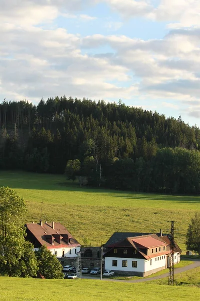 Dağlarda çiftlik, ormanların arasında çiftlik.