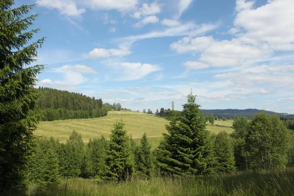 Beautiful Landscape Mown Meadow Hay Bales Forest Blue Sky — стоковое фото