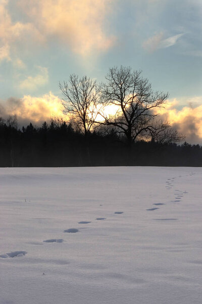 footprints in the snow leading to the horizon winter landscape, colorful clouds, dusk