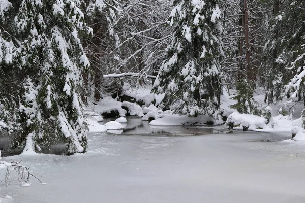 多雪的山景 针叶林中间有一个结冰的湖 — 图库照片