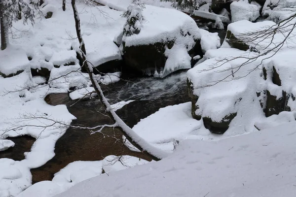 森林里的雪山溪流 冬季的风景 — 图库照片