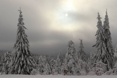 Karların altındaki dağ manzarası, bulutların arasından güneşe bakan.