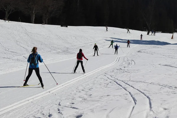cross-country skiers go down the hill uncertainly