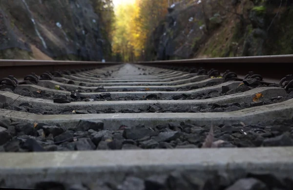 線路の詳細や岩と森の間を通る線路の下からの眺め — ストック写真