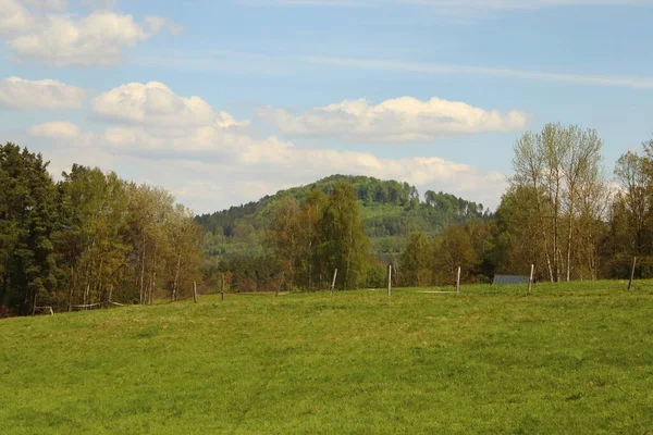 Landscape Blue Sky White Clouds Meadow Forest Tree Foreground Romantic — Foto de Stock