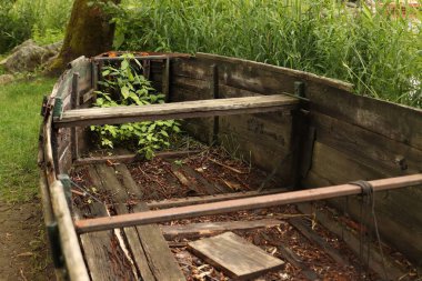 Sahilde çimlerle kaplanmış eski bir ahşap gemi.