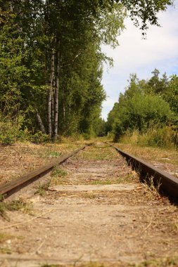 old disused tracks overgrown with grass in the forest