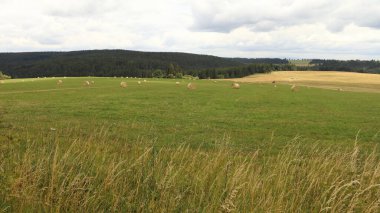 landscape with meadow and cut grass with straw bales