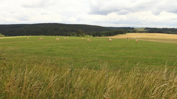 Landscape Meadow Cut Grass Straw Bales — Stock Fotó