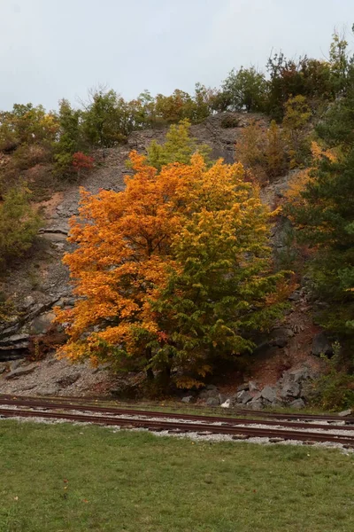 秋色の風景の中に寮 — ストック写真