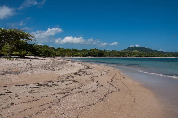 Playa del Caribe —  Fotos de Stock