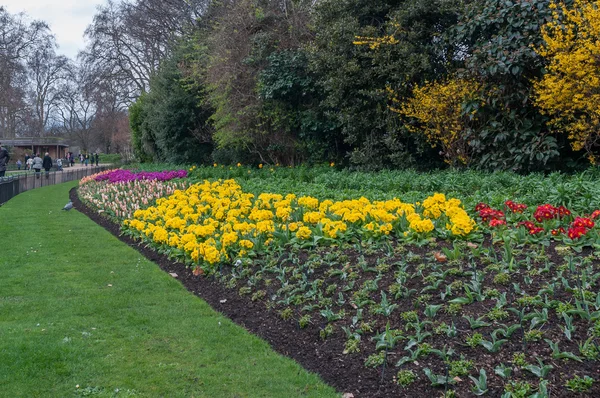 Flowers in St.James Park — Stock Photo, Image