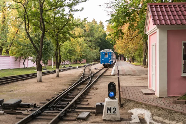 Tren ve tren — Stok fotoğraf
