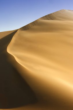 uzun boylu çöl dune
