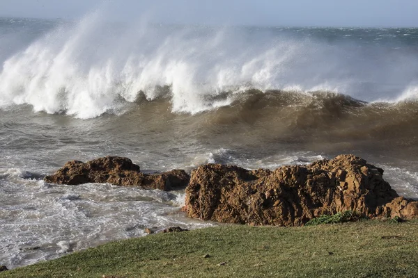 Grandes vagues avec embruns — Photo