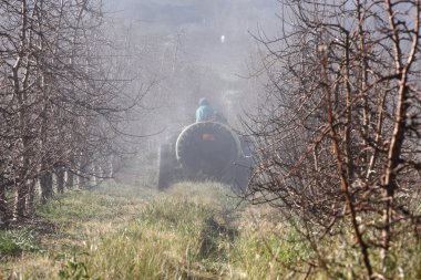 Püskürtme Fruitree