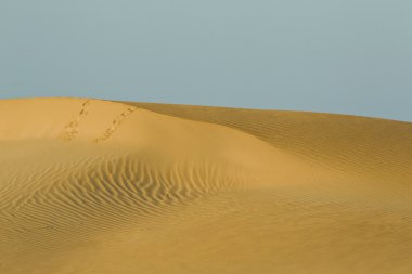 Dune ayak izleri ile