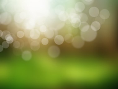 orman bokeh