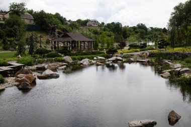 Parkın bir parçası. Yazın sazan balıklı geleneksel Japon bahçesi. Büyük Japon göletinin manzarası 