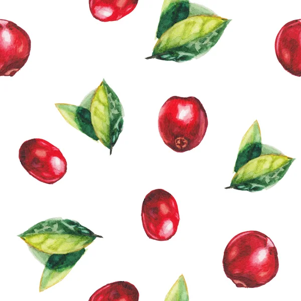 Padrão de cranberries aquarela — Fotografia de Stock