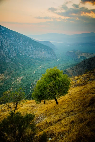 Valle cerca de delphi — Foto de Stock