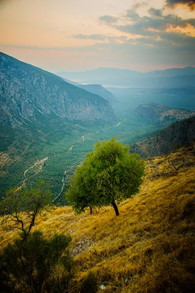 Vallée près de delphes — Photo