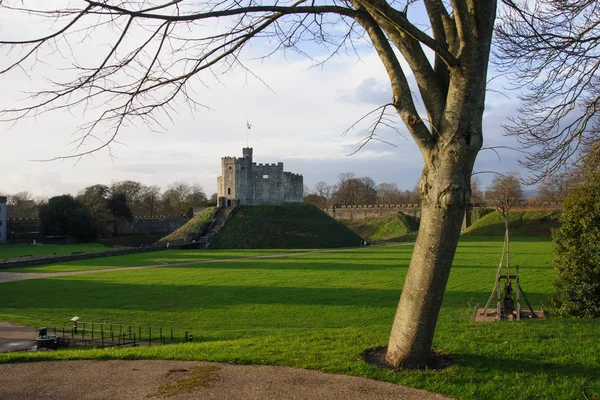 Cardiff Castle — Stock Photo, Image