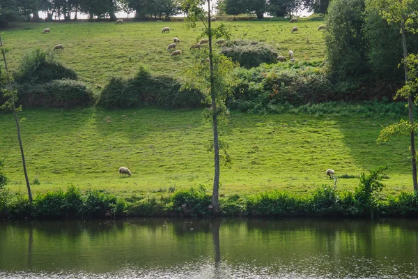 Schweiziska Normandie — Stockfoto