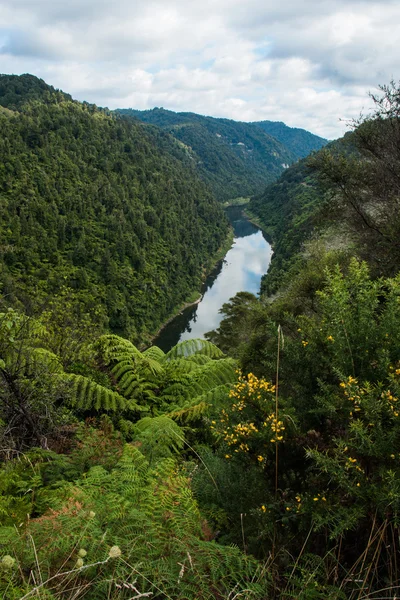 Whanganui River — Stockfoto