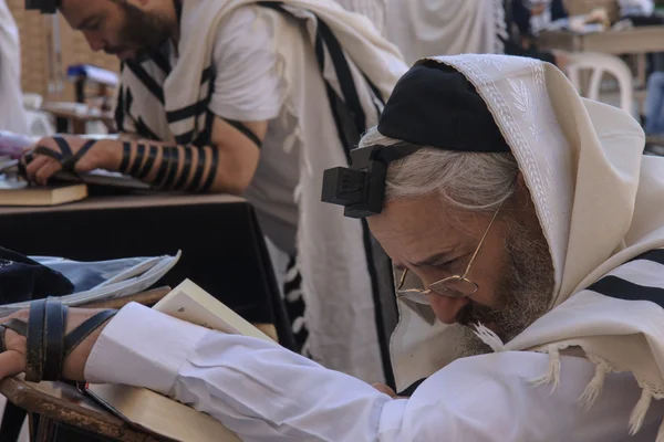 Prayers at the western wall — Stock Photo, Image