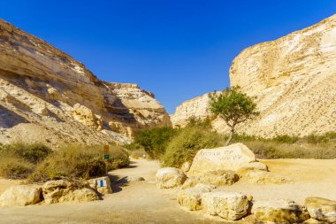 Ein Avdat Milli Parkı Kanyonu 'nun başı, Negev Çölü' nde vaha, Güney İsrail, Metin: Ein Avdat, Ein Mor