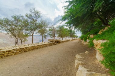 Sde Boker (Ben Gurion 'un Mezarı), Negev Çölü, Güney İsrail' deki gezinti alanı