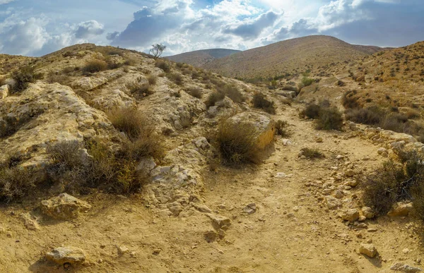 Pohled Krajinu Wadi Pouštní Údolí Jeruhamském Hřebeni Negevská Poušť Jižní — Stock fotografie