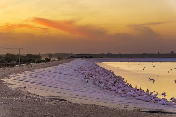 以色列中部Emek Hefer Mishmar Hasharon水库候鸟中心的日落景观 — 图库照片