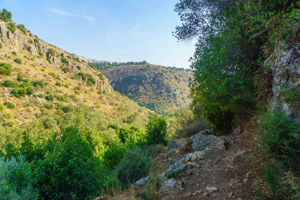 Montanhas Vales Paisagem Reserva Natural Amud Stream Alta Galiléia Norte — Fotografia de Stock