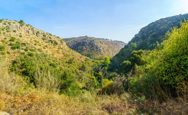 Montanhas Vales Paisagem Reserva Natural Amud Stream Alta Galiléia Norte — Fotografia de Stock