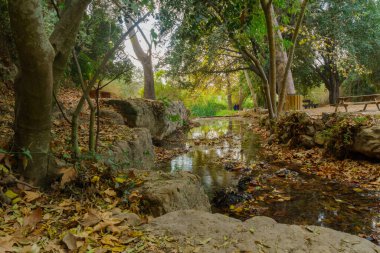 En Hemed Ulusal Parkı 'nda (Aqua Bella), Kudüs' ün batısında ağaçlar, piknik masaları ve sonbahar yapraklarıyla Kesalon Nehri manzarası