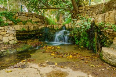 En Hemed Ulusal Parkı 'nda (Aqua Bella), Kudüs, İsrail' in batısında bulunan Kesalon Deresi 'nin ağaçlı ve sonbahar yapraklı manzarası