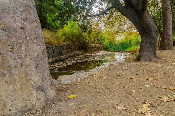 Άποψη Του Ποταμού Kesalon Δέντρα Και Φυλλώματα Πτώση Στο Hemed — Φωτογραφία Αρχείου