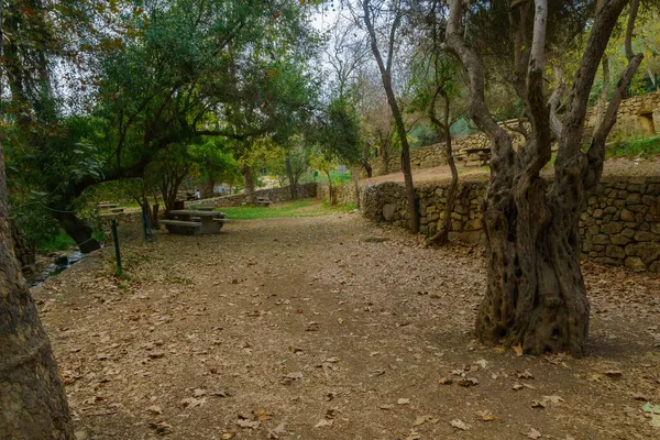 Vista Área Picnic Con Árboles Follaje Otoño Arroyo Kesalon Parque — Foto de Stock