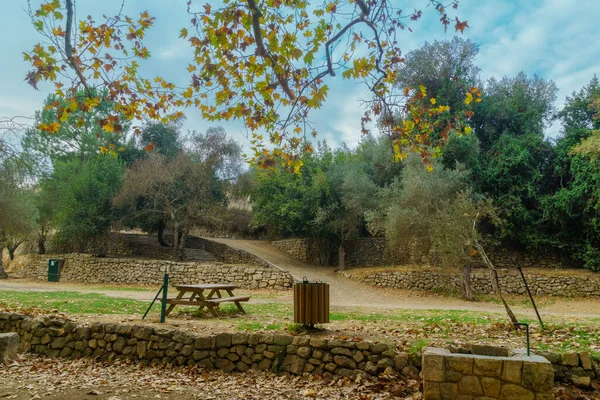 이스라엘 예루살렘 서쪽에 아쿠아 나무와 낙엽이 지역과케 거리의 — 스톡 사진