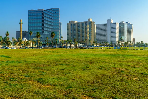 Tel Aviv Israël Novembre 2021 Scène Parc Charles Clore Avec — Photo