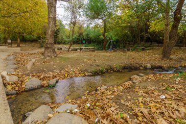 Bulutlu bir günde Snir Stream 'de (Hatsbani) dalış havuzları ve yapraklı ağaçların manzarası. Kuzey İsrail