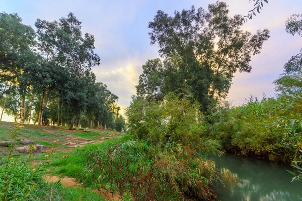 Vista Sul Tramonto Del Fiume Giordano Con Alberi Eucalipto Nuvole — Foto Stock